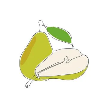 Pear fruit in continuous line art drawing style. Stock Illustration