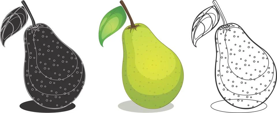 Pear fruit design illustration Vector Stock-Illustration