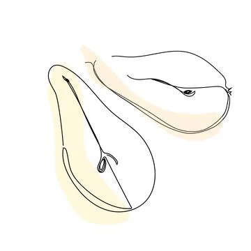 Pear fruit halves continuous line drawing. Stock Illustration