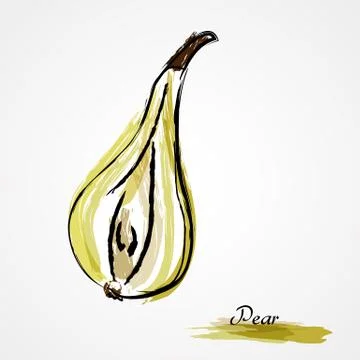 Pear Fruit Stock Illustration