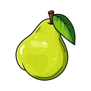 Pear fruit with leaves on a white background, flashcard, children, vector Stock Illustration
