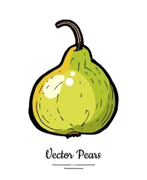 Pear fruit vector isolate. Yellow green whole pear. Fruit hand drawn illustra Stock Illustration