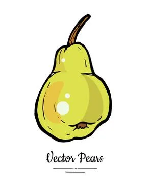 Pear fruit vector isolate. Yellow green whole pear. Fruit hand drawn illustra Stock Illustration