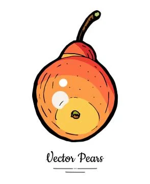 Pear fruit vector isolate. Yellow red whole pear. Fruit hand drawn illustrati Stock Illustration