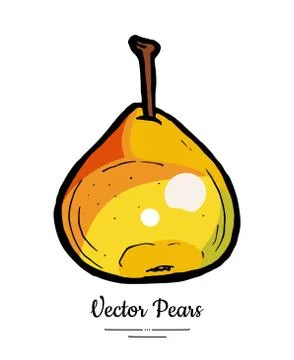 Pear fruit vector isolate. Yellow red whole pear. Fruit hand drawn illustrati Stock Illustration