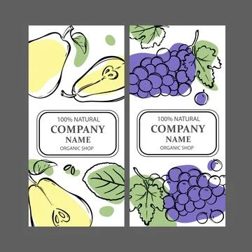 PEAR GRAPE LABELS Vertical Sketch Vector Illustration Set Stock Illustration