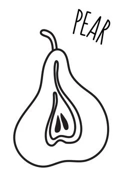Pear hand drawn with thin line isolated on white background Stock Illustration