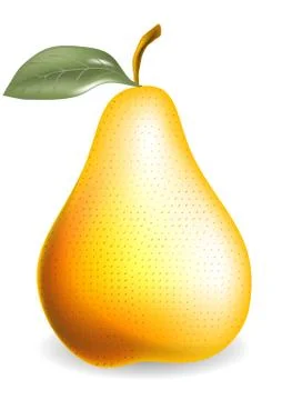 Pear Stock Illustration