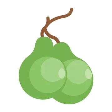 Pear Illustrazione stock