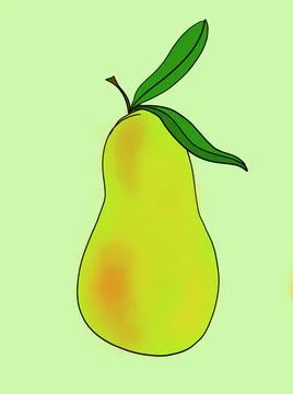 Pear Stock Illustration