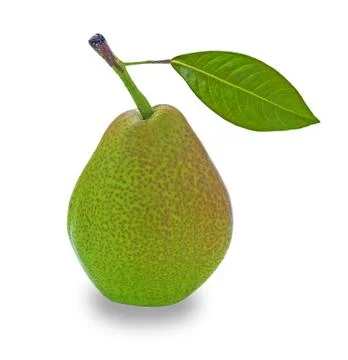 Pear Isolate on White Background Stock Photos