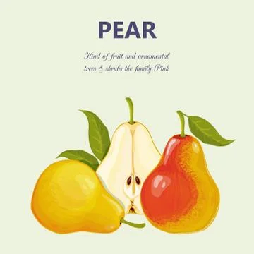 Pear. Isolated objects Illustrazione stock