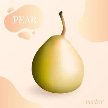 Pear isolated vector. Pear isolated vector illustration in 3D photo-realistic Stock Illustration