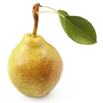 Pear isolated on white 스톡 사진