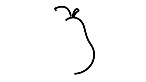 Pear with leaf on white background Stock Footage 324281522