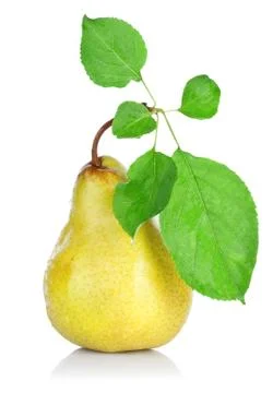 Pear with leafs Stock Photos