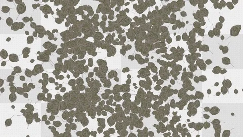 Pear Leaves Explosion. Burst of Pear Leaf. Alpha Channel Video stock 290175231