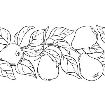Pear Outline Horizontal Seamless Pattern. Stock Illustration