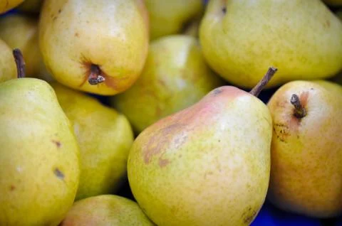 Pear Foto stock