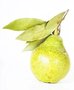 Pear Stock Photos