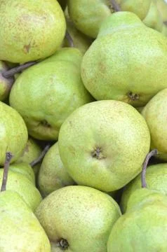 Pear Stock Photos