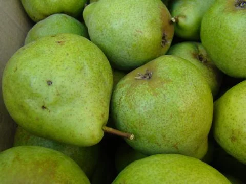 Pear Stock Photos