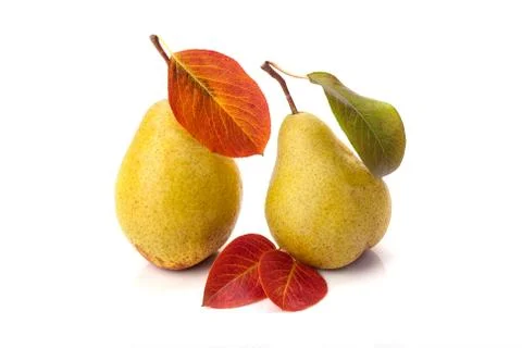 Pear Stock Photos