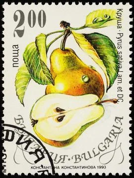 Pear on postage stamp Stock Photos