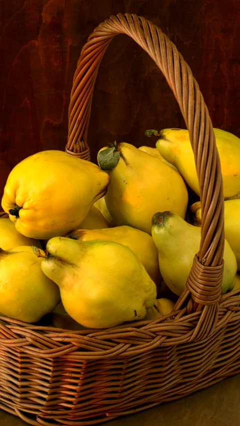 Pear-quince fruit in a basket. Table spin. Vertical video. Video stock 283730064
