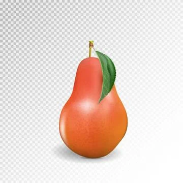 Pear realistic. Vector 10EPS. Red pear, punching bag, punching ball, punchbag Stock Illustration