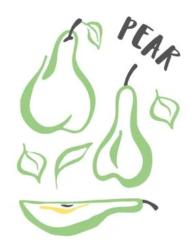 Pear set hand painted with ink brush isolated on white background Stock Illustration