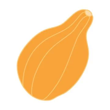 Pear shaped pumpkin in cartoon flat style. Stock Illustration