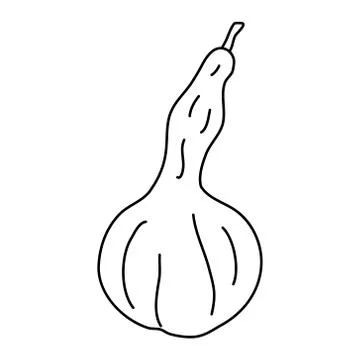Pear shaped pumpkin in doodle style. Stock Illustration