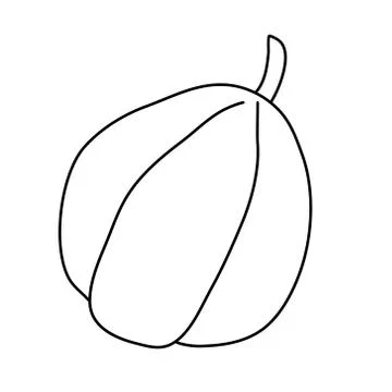 Pear shaped pumpkin in doodle style. Stock Illustration