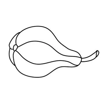 Pear shaped pumpkin in doodle style. Stock Illustration