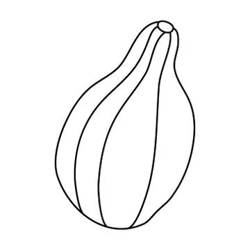 Pear shaped pumpkin in doodle style. Stock Illustration