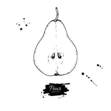 Pear slice vector drawing. Isolated hand drawn object on white background. .. Illustrazione stock