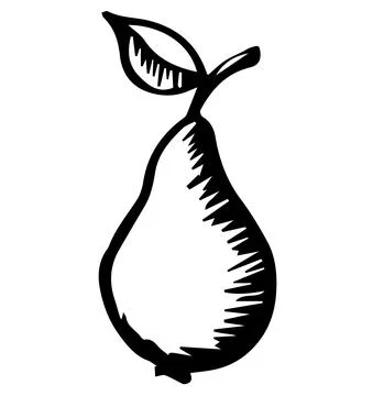 Pear, summer fruit. Made in the style of engraving. handmade. Vector illustra Stock Illustration