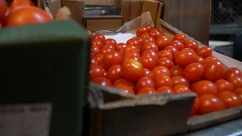 Pear tomatoes in market Stock Footage 128351397