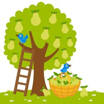 Pear tree. Vector Illustration Stock Illustration