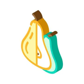 Pear two cut isometric icon vector illustration Stock Illustration