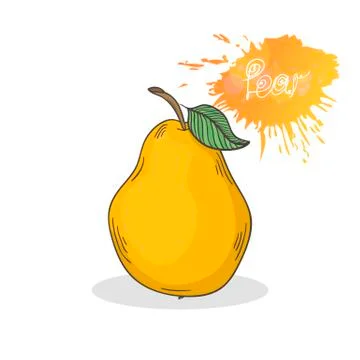 Pear vector illustration Stock Illustration