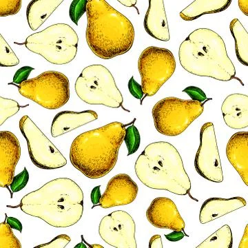 Pear vector seamless pattern. Hand drawn full and sliced pieces Illustrazione stock