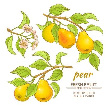 Pear vector set Stock Illustration