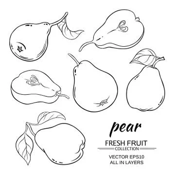 Pear vector set Stock Illustration