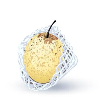 Pear vector on white background. Illustrazione stock