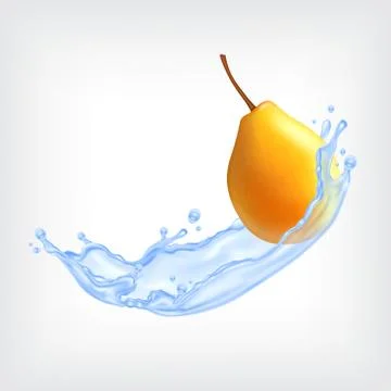 Pear with water Stock Illustration