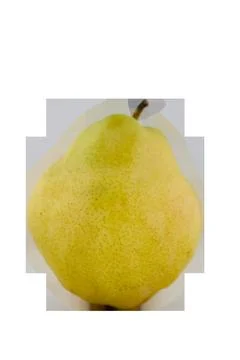 Pear on White Background in Square Format Stock Photos