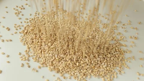 Pearl barley falling and forming a pile Stock Footage 336038285