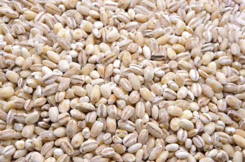Pearl barley macro close up Stock Photos